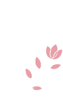 کایسا